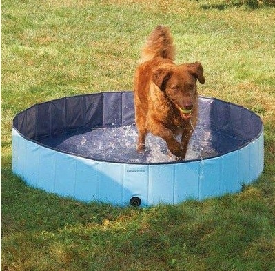 Baignoire portative adaptée aux besoins du client de chien de PVC pour qui respecte l'environnement à la maison